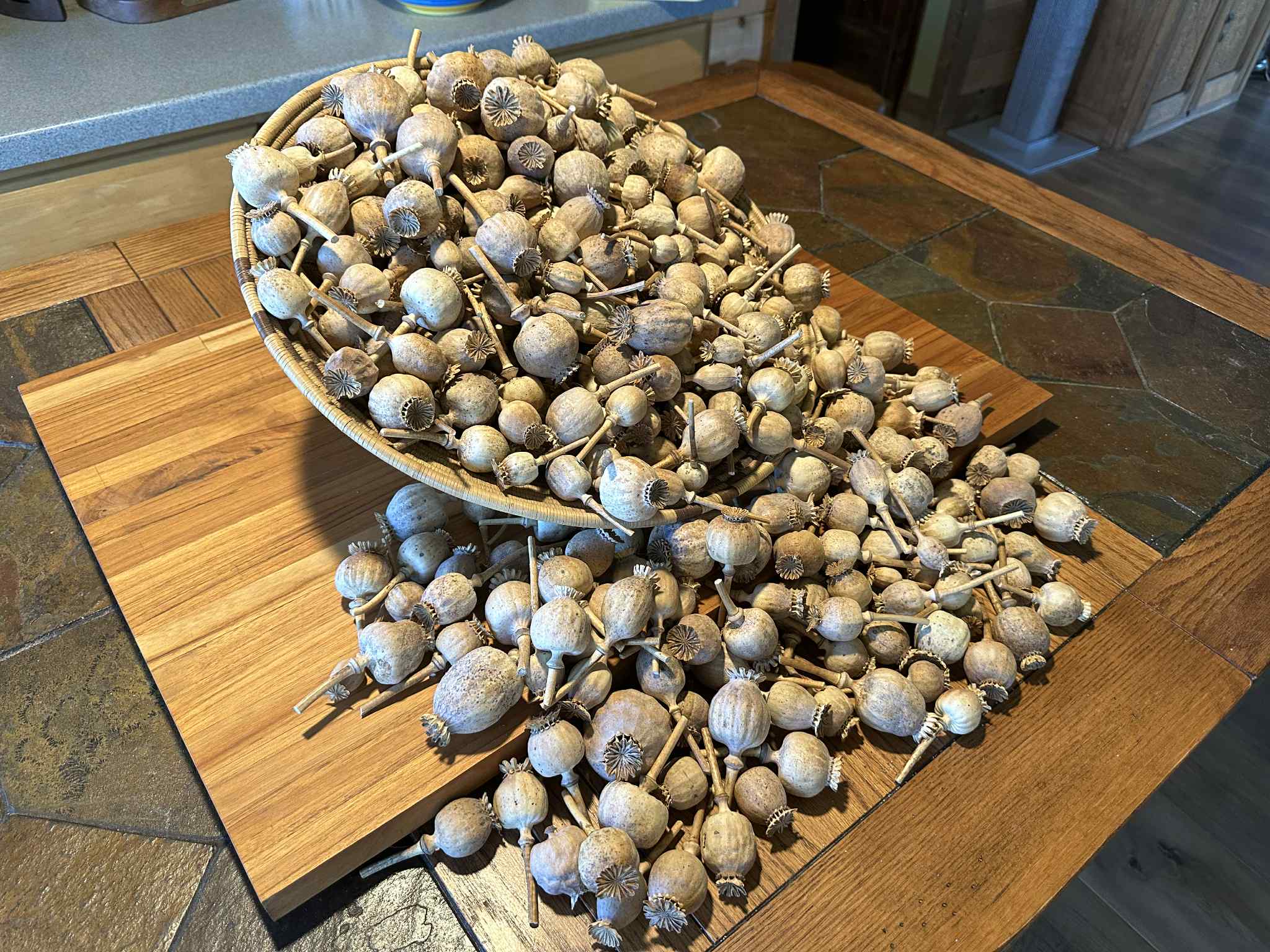 2 lb. Mixed Dried Poppy Pods (2025 Harvest)
