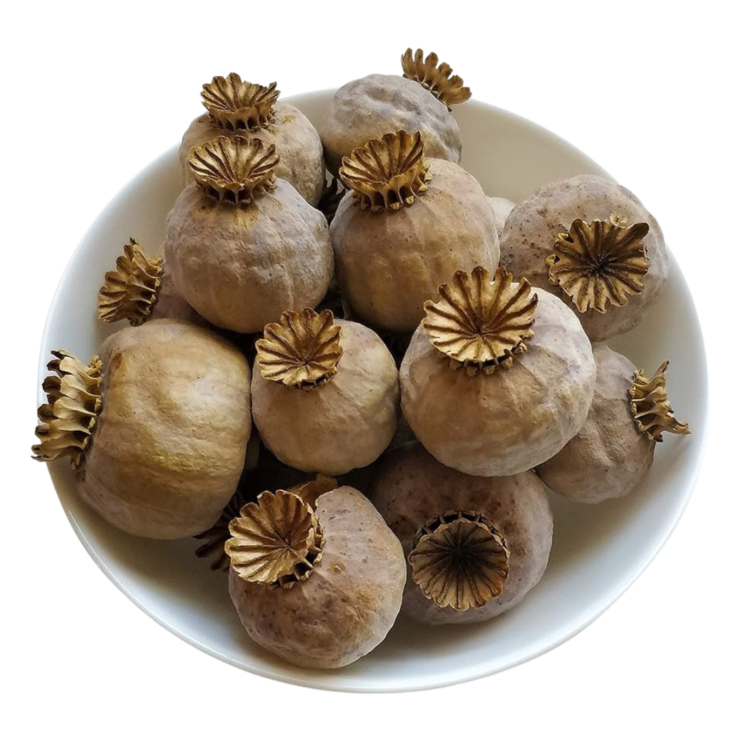 Opium pods 5lb 420, Buy opium Pods,poppy pods