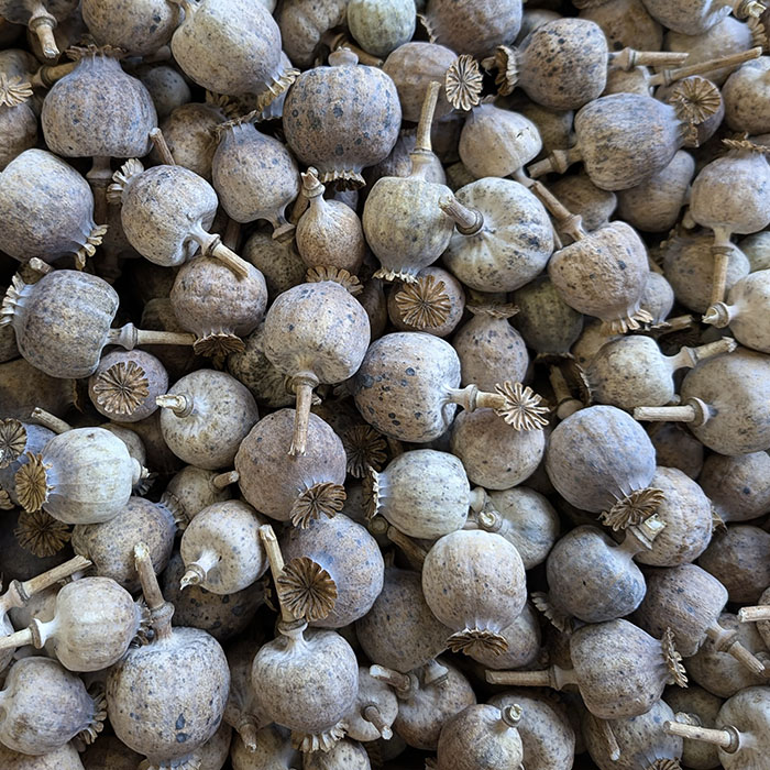 Unwashed Poppy Pod Head 2kg